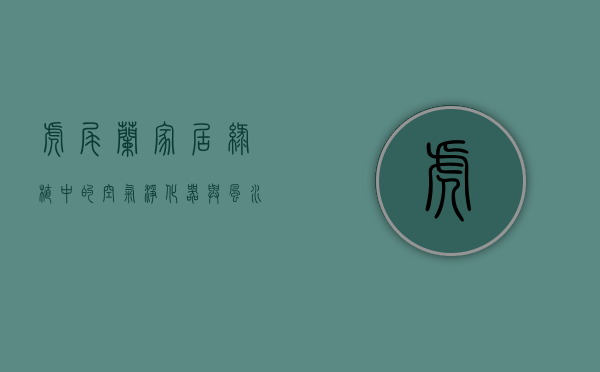 虎尾兰，家居绿植中的空气净化器与风水守护者
