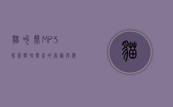 猫叫声MP3，探索猫咪声音的奥秘与应用