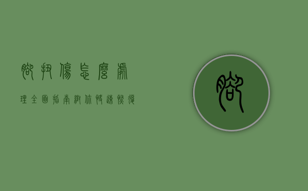 脚扭伤怎么处理？全面指南帮你快速恢复