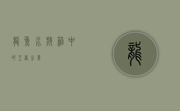 龙鱼,水族箱中的王者之美 龙鱼,水族箱中的王者之美