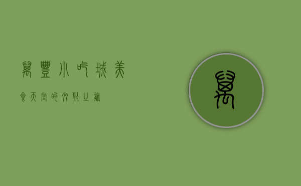 万丰小吃城，美食天堂的文化之旅