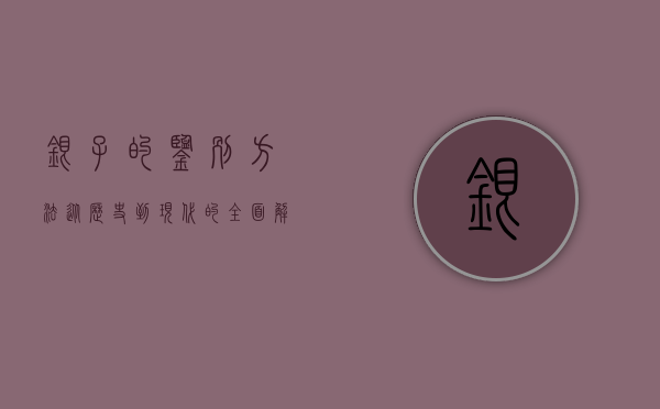 银子的鉴别方法，从历史到现代的全面解析