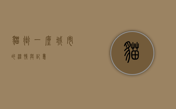 猫街，一座城市的温情与记忆