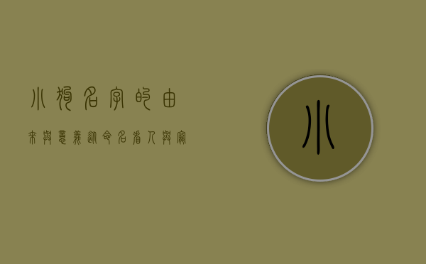 小狗名字的由来与意义，从命名看人与宠物的情感纽带