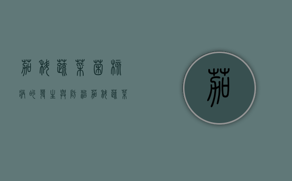 茄科蔬菜菌核病的发生与防治（茄科蔬菜常见病害诊断与防治）