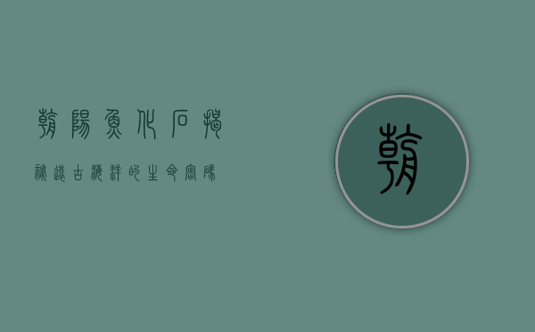 朝阳鱼化石，揭秘远古海洋的生命密码
