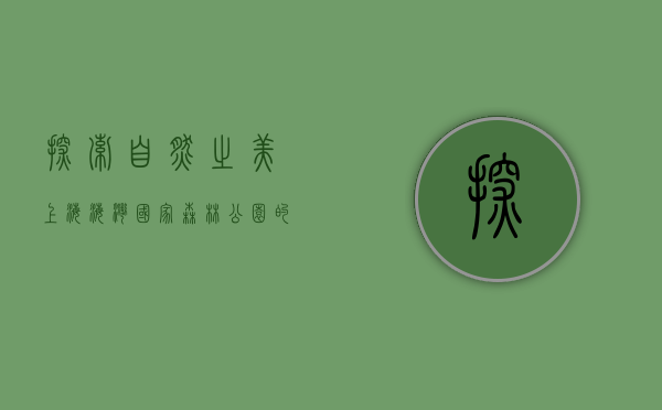探索自然之美，上海海湾国家森林公园的全方位体验