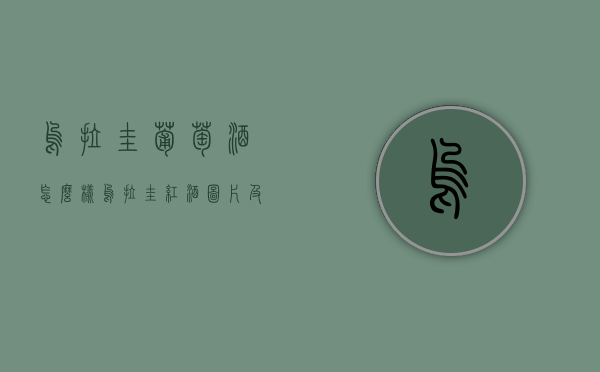 乌拉圭葡萄酒怎么样（乌拉圭红酒图片及价格）