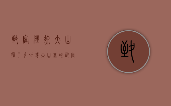 致富经徐大山挣了多少钱（大山里的致富经）