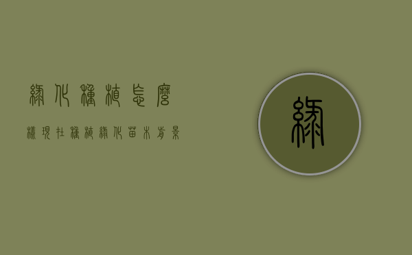 绿化种植怎么样（现在种植绿化苗木前景怎么样?）