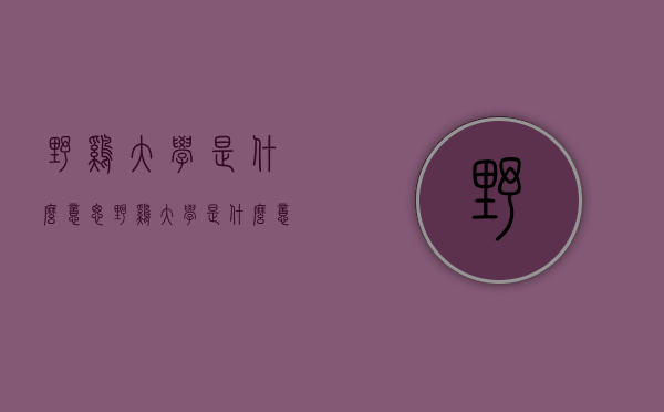 野鸡大学是什么意思（野鸡大学是什么意思思）