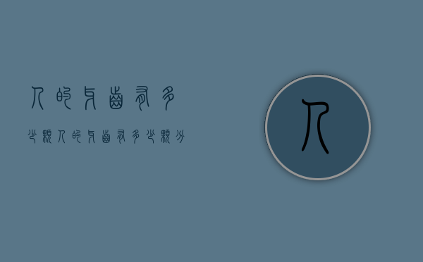 人的牙齿有多少颗（人的牙齿有多少颗分别叫什么）