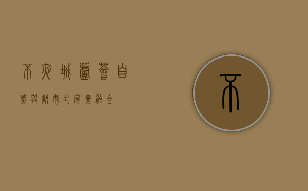 不夜城芦荟，自然与都市的完美融合