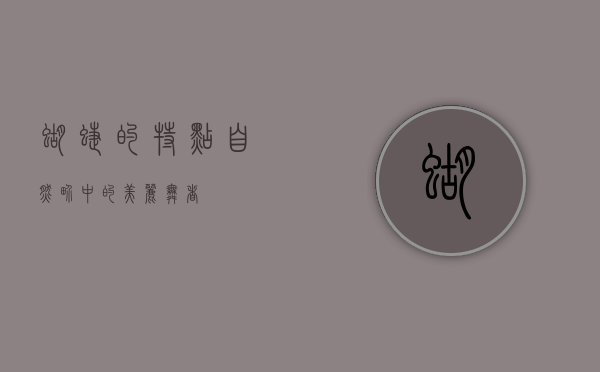蝴蝶的特点，自然界中的美丽舞者