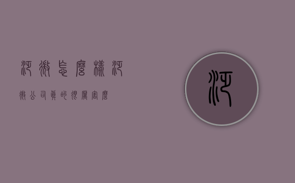 泛微怎么样（泛微公司真的很厉害么）