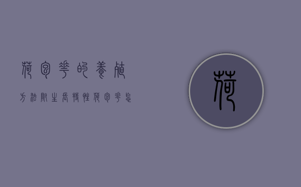 荷包花的养殖方法，附生长特性（荷包花怎么养）