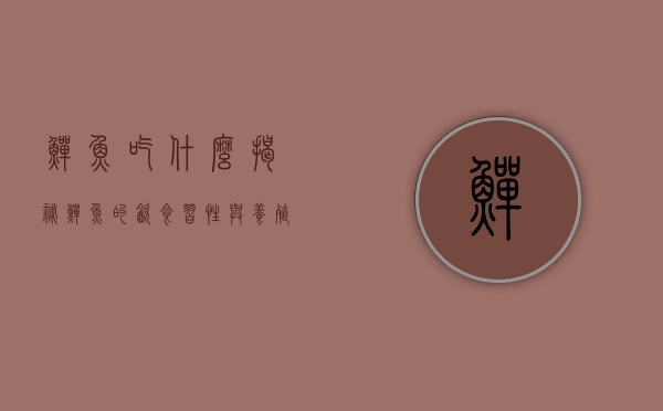 鳝鱼吃什么，揭秘鳝鱼的饮食习性与养殖技巧