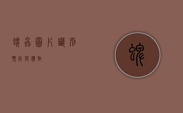 蜱虫图片，识别、预防与应对