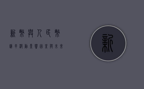 新币与人民币汇率波动，影响因素与未来展望