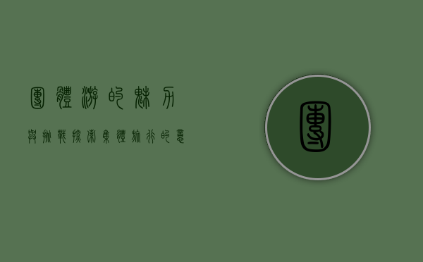 团体游的魅力与挑战，探索集体旅行的意义与技巧