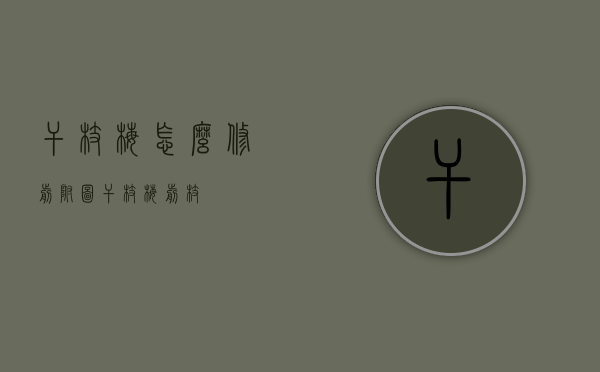 干枝梅怎么修剪附图（干枝梅剪枝）