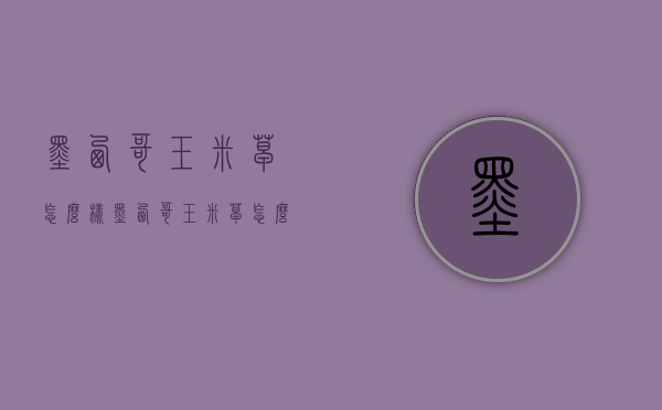 墨西哥玉米草怎么样（墨西哥玉米草怎么样种值）
