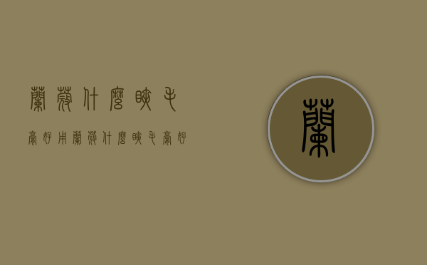 兰蔻什么睫毛膏好用（兰蔻什么睫毛膏好用又便宜）