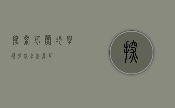 探索芬兰的学术明珠—韦斯屈莱