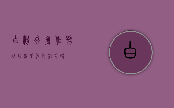 白粉虱，农作物的小敌手与防治策略