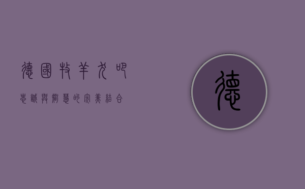 德国牧羊犬吧，忠诚与智慧的完美结合