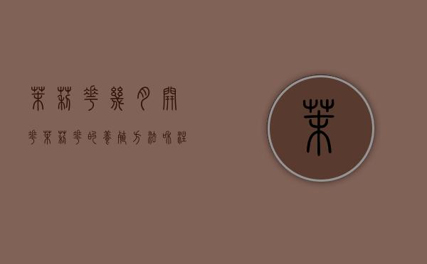 茉莉花几月开花 茉莉花的养殖方法和注意事项（茉莉花在几月份开花）