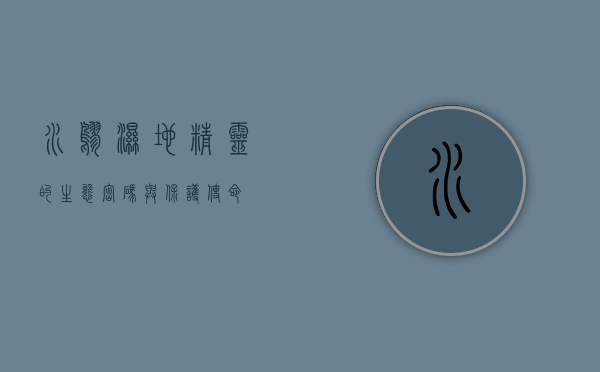 水鹨，湿地精灵的生态密码与保护使命