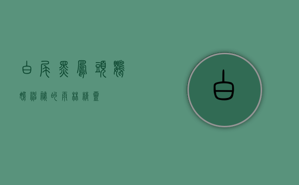 白尾黑凤头鹦鹉,神秘的雨林精灵 白尾黑凤头鹦鹉,神秘的雨林精灵