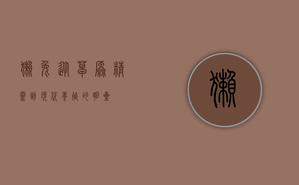 獭兔，从草原精灵到现代养殖的明星