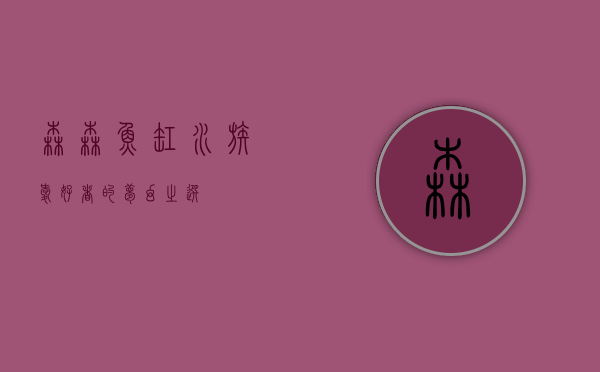 森森鱼缸，水族爱好者的梦幻之选