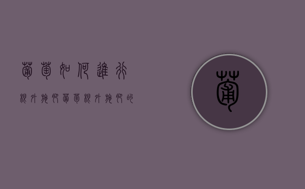 葡萄如何进行根外施肥 葡萄根外施肥的方法（葡萄生根肥有哪几种）