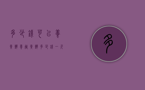 多少钱可以养黄鳝（养殖黄鳝多少钱一斤2020）