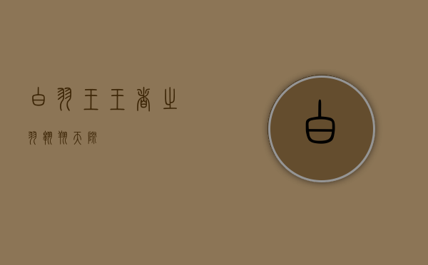 白羽王，王者之羽，翱翔天际