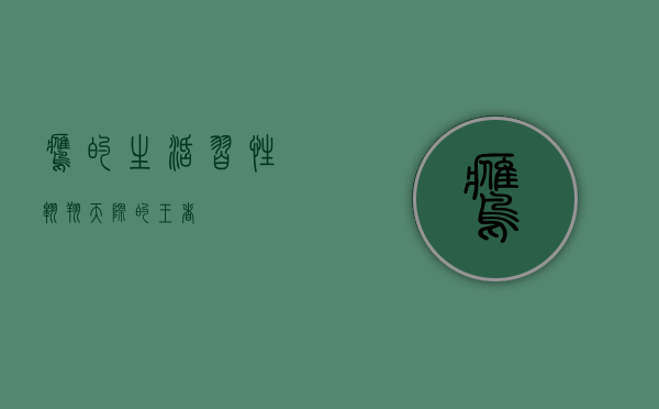 鹰的生活习性，翱翔天际的王者