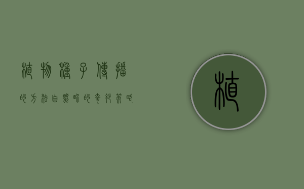 植物种子传播的方法，自然界的奇妙策略