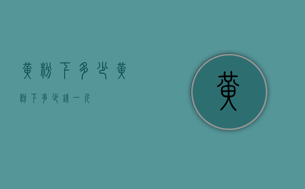 黄粉下多少（黄粉下多少钱一斤）