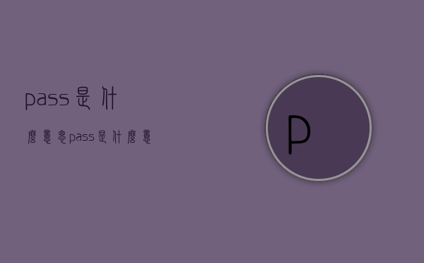 pass是什么意思（pass是什么意思车上的功能）
