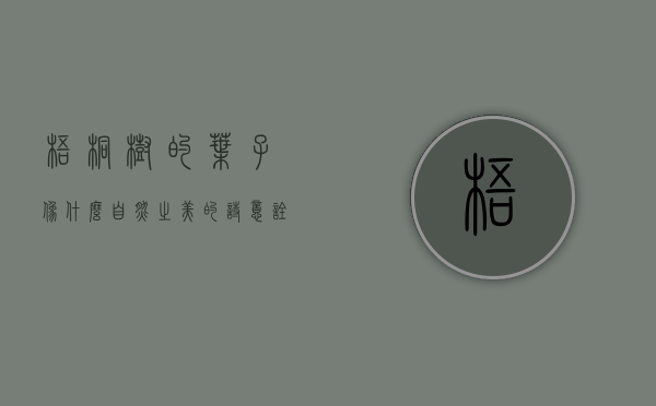 梧桐树的叶子像什么，自然之美的诗意诠释