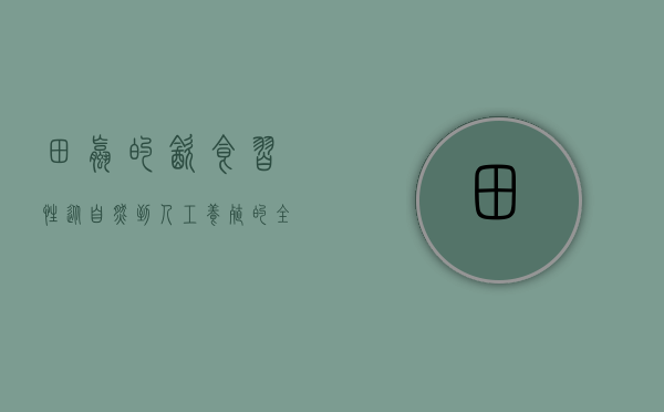 田螺的饮食习性，从自然到人工养殖的全面解析