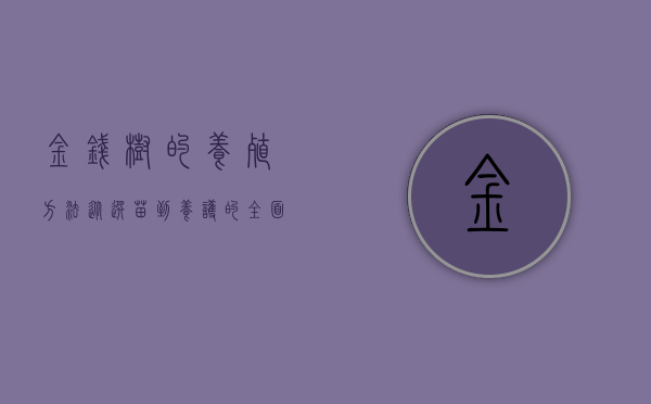金钱树的养殖方法，从选苗到养护的全面指南