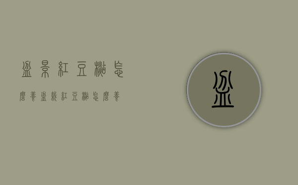 盆景红豆杉怎么养（盆栽红豆杉怎么养）