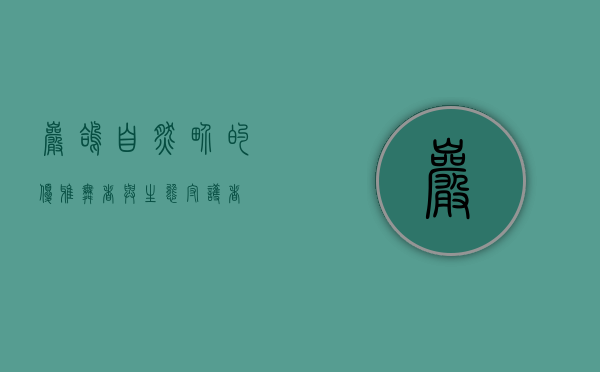 岩鸽，自然界的优雅舞者与生态守护者