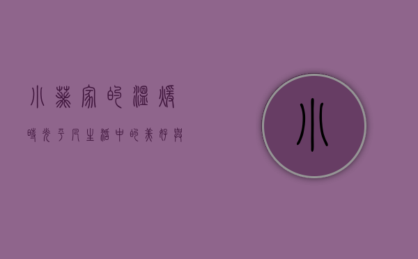 小葵家的温暖时光，平凡生活中的美好与感动