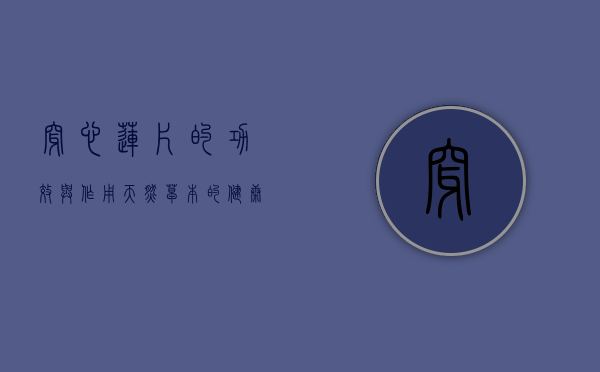 穿心莲片的功效与作用，天然草本的健康守护者
