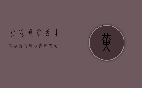 黄兔的奇幻之旅，从寓言到现实的象征